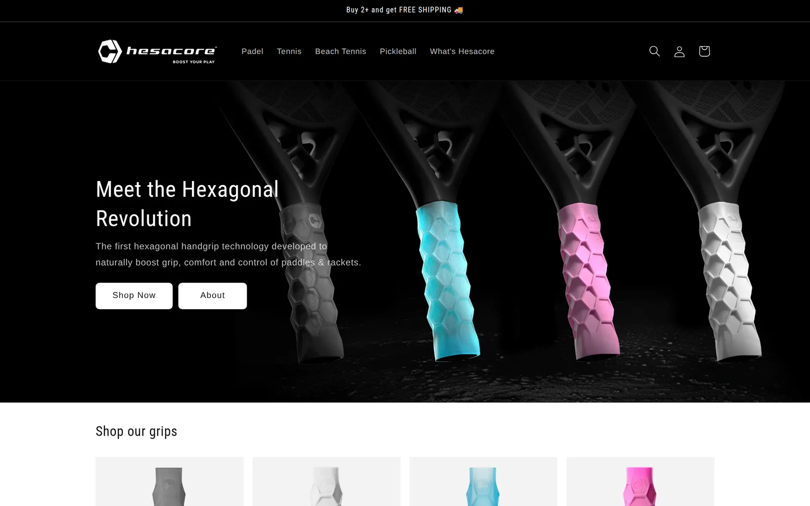 The Hesacore website on desktop, eu.hesacore.com